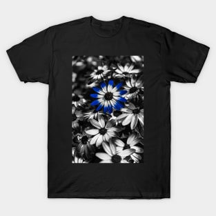 Blue Senetti T-Shirt